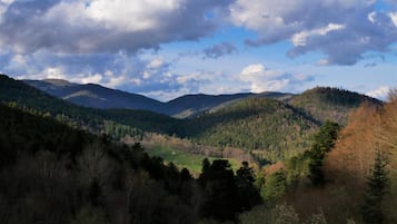 Paisaje montañoso con un valle, bosques densos y un cielo despejado con nubes.
