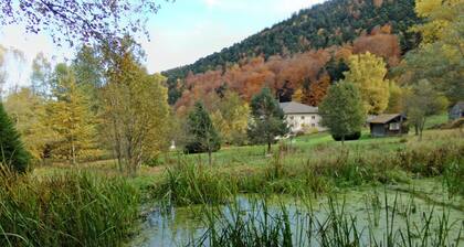HĂŽtel Domaine Langmatt