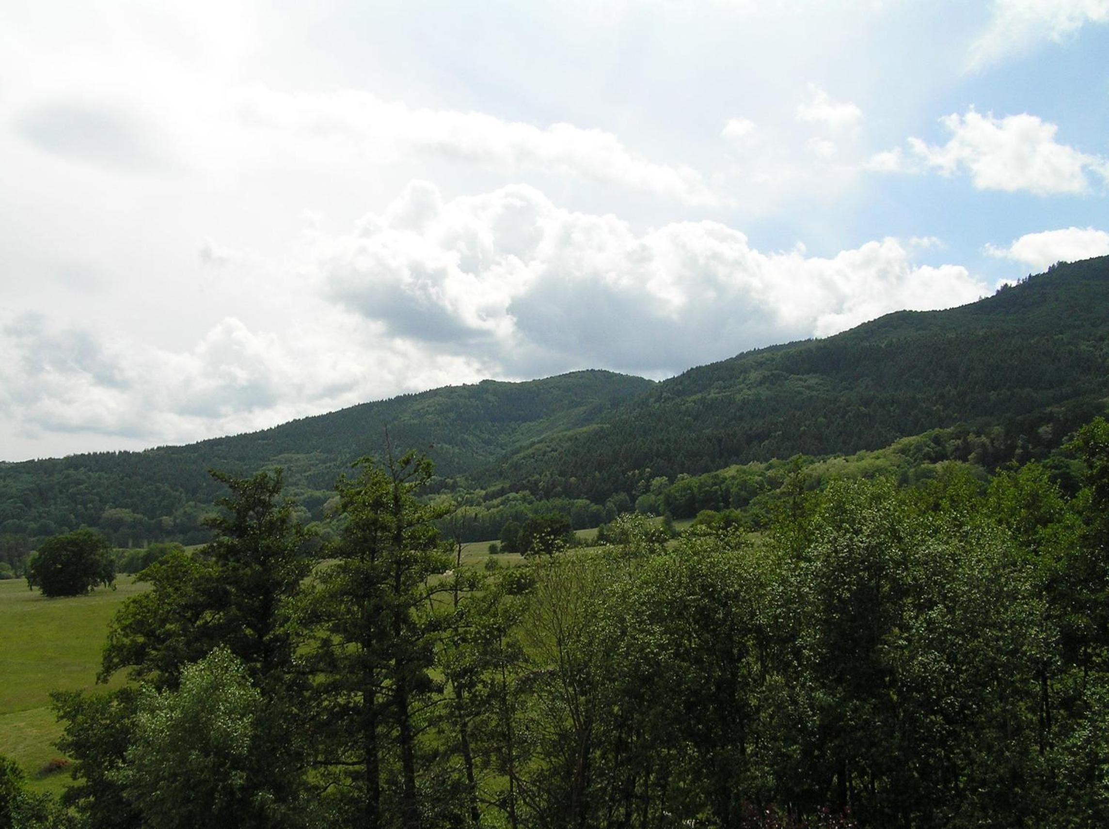 Un paisaje montañoso con vegetación densa y cielo despejado.