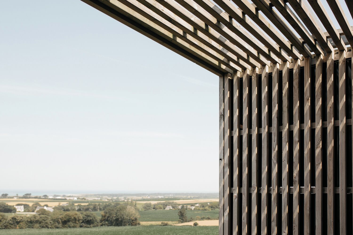 junior suite, 1 king bed | premium bedding, in-room safe, desk, blackout curtains