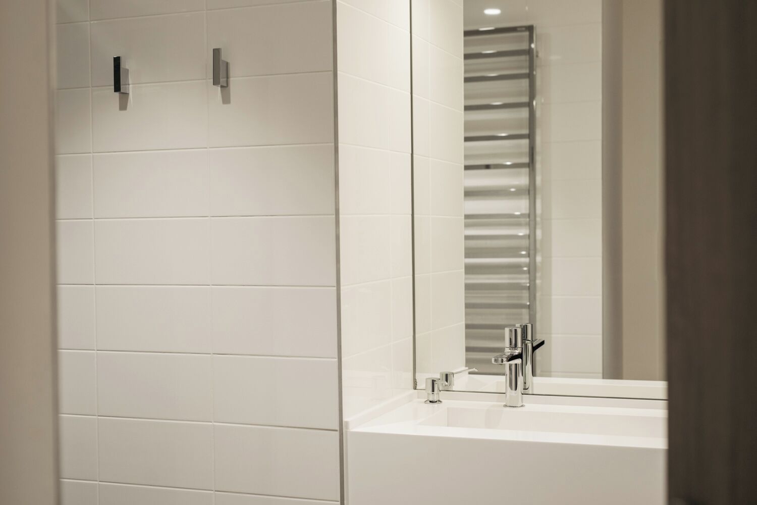 deluxe double room, 1 king bed | bathroom | shower, rainfall showerhead, eco-friendly toiletries, hair dryer