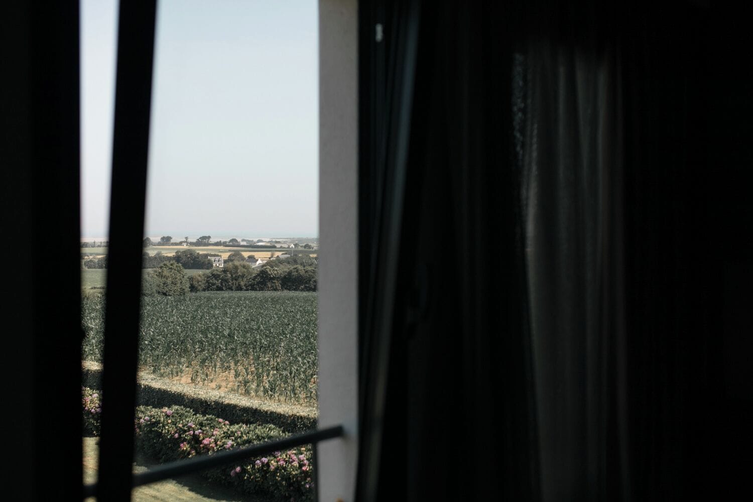 A view through a window with curtains, revealing a field and distant buildings.