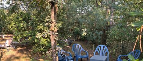 A garden with outdoor seating, including chairs and a table, surrounded by trees and plants.