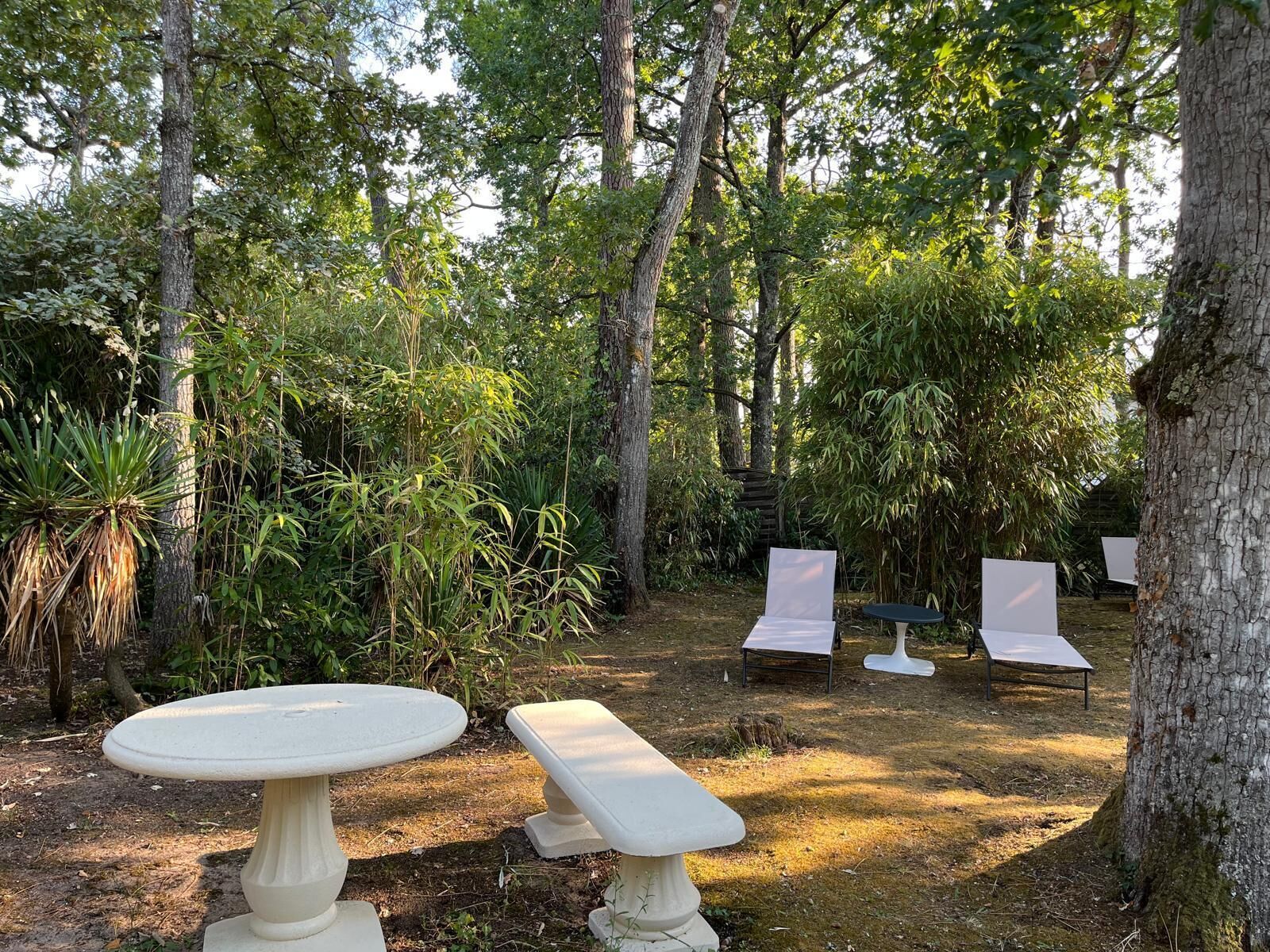 A garden with a round table and a bench, surrounded by trees and plants.