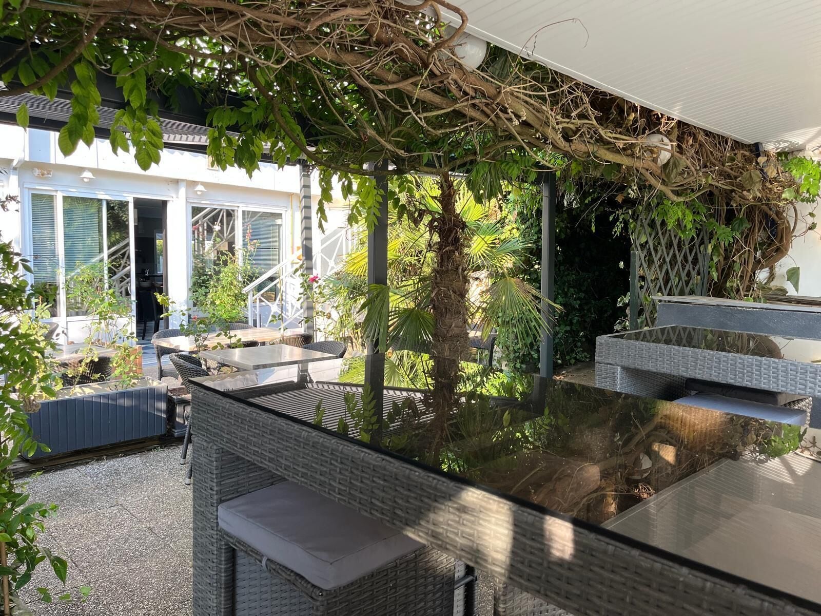 An outdoor seating area with wicker furniture and a glass table, surrounded by greenery and a house in the background.