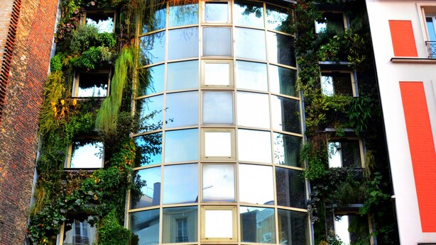 Fachada de hotel com revestimento de vidro, cercada por folhagem exuberante e hera.