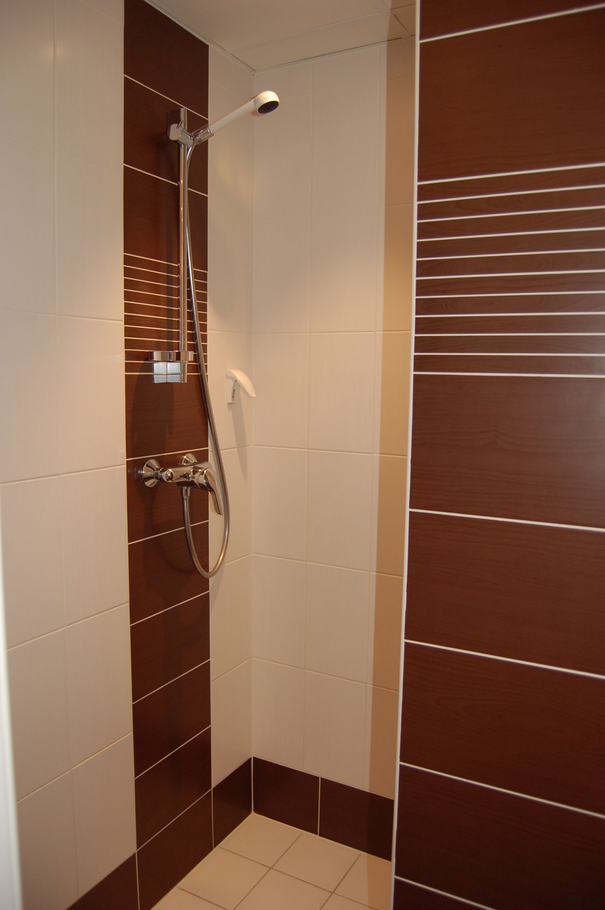 Een douche met een handdouche en een kraan op de muur.