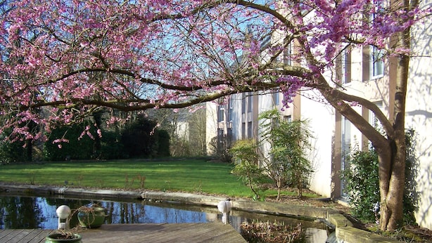 A serene garden with a pond, wooden deck, and blooming trees. - Hôtel Cositel Coutances (Coutances)