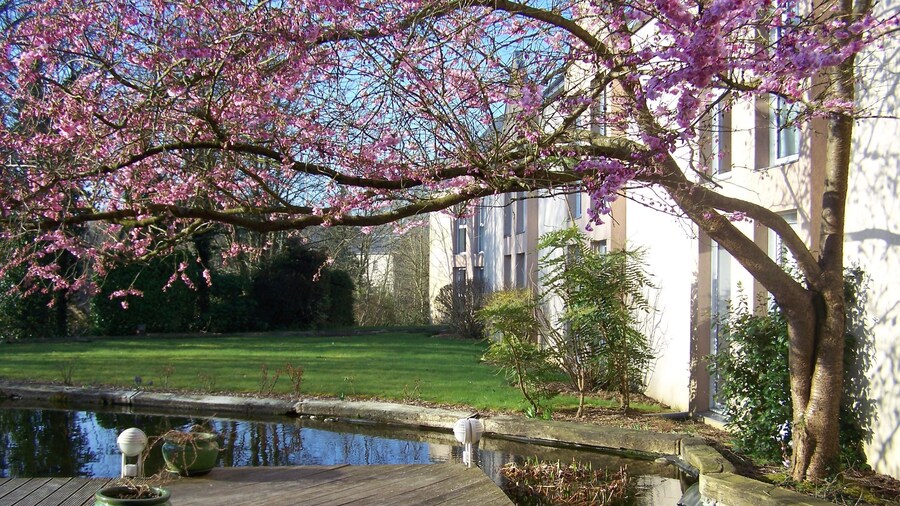 Hôtel Cositel Coutances