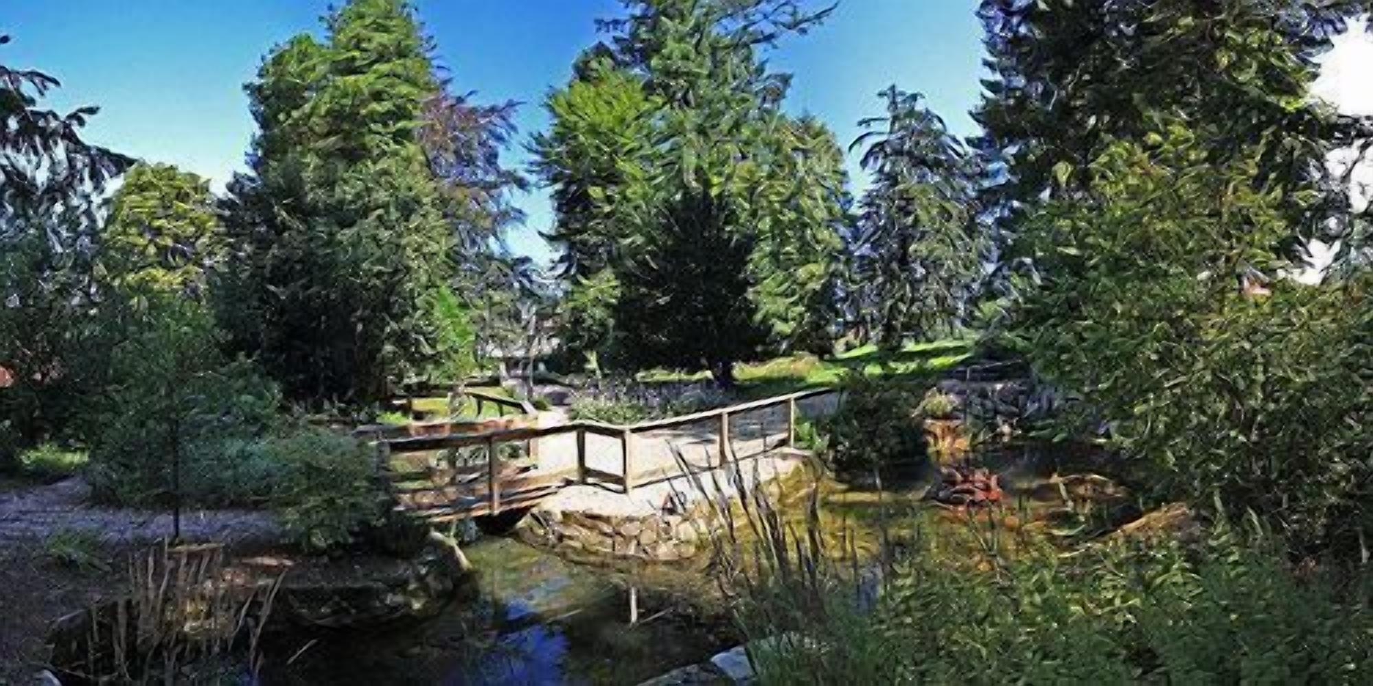 Un puente de madera sobre un arroyo en un área boscosa con árboles altos y vegetación densa.