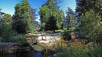 Un puente de madera sobre un arroyo en un área boscosa con árboles altos y vegetación densa.