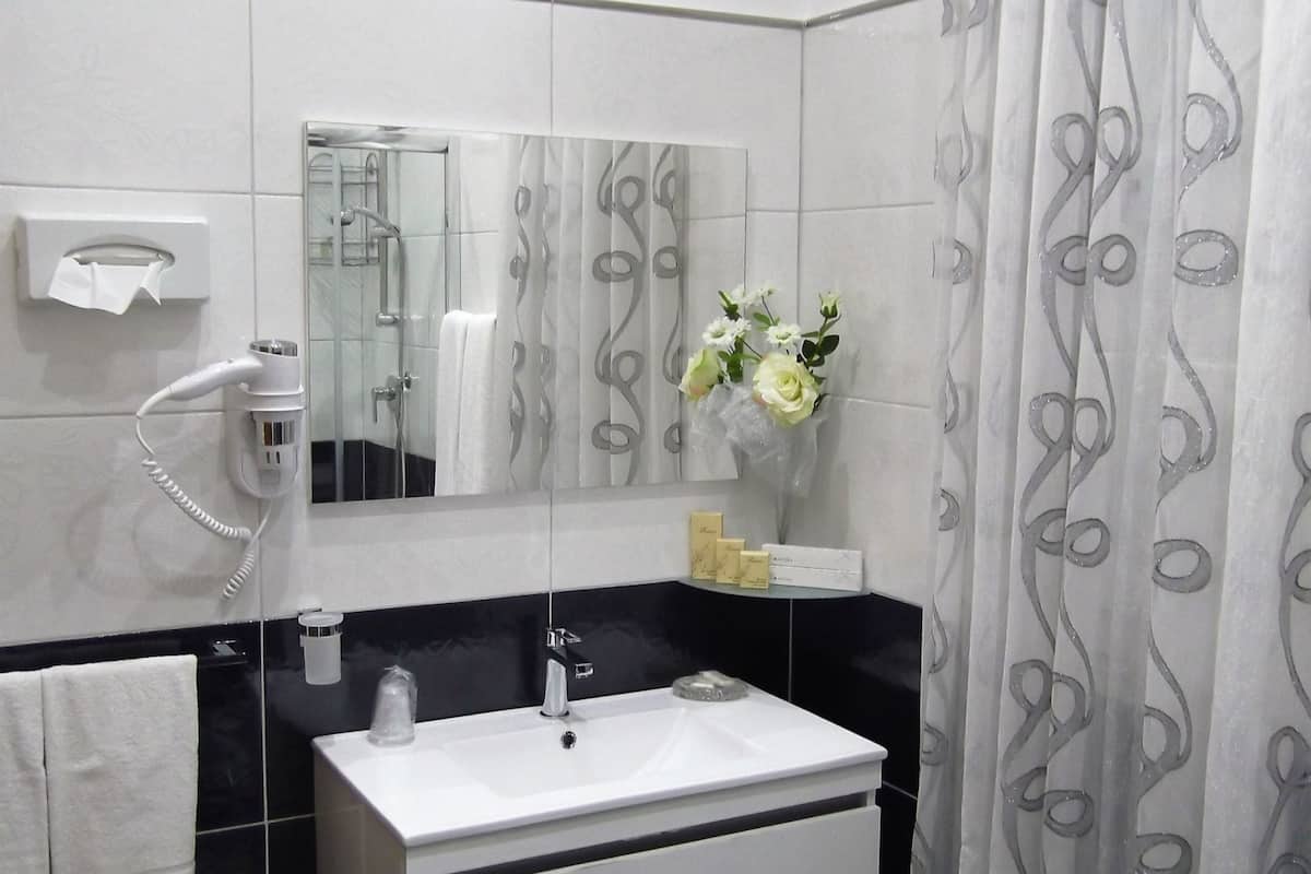 double room single use | bathroom | shower, hair dryer, slippers, bidet