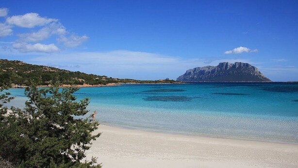 A beach with clear turquoise waters, a sandy shore, and a prominent rocky mountain in the background. - Hotel Daniel (Olbia)