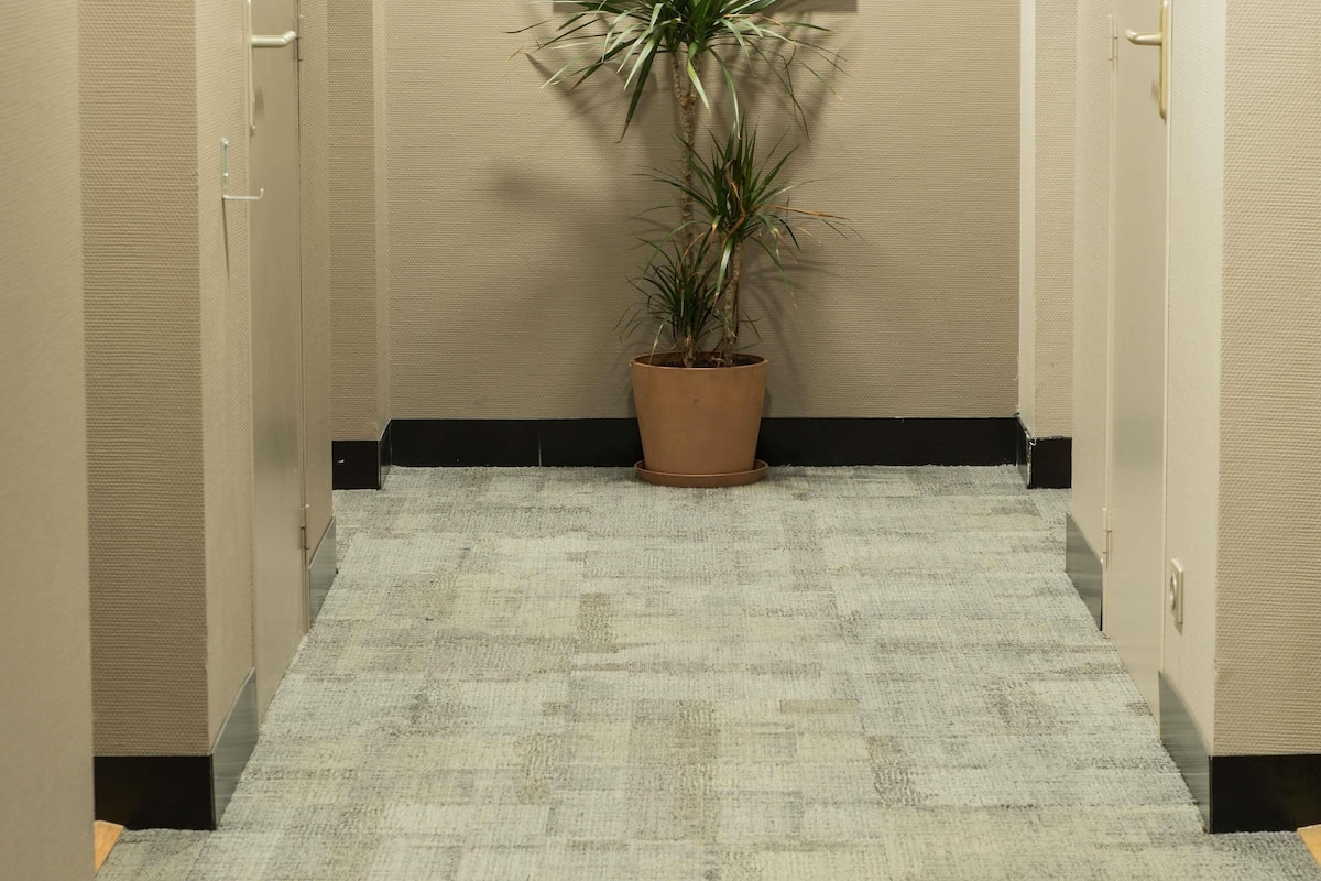 Un couloir avec une moquette à motifs, une plante en pot et une porte dotée d’une poignée.