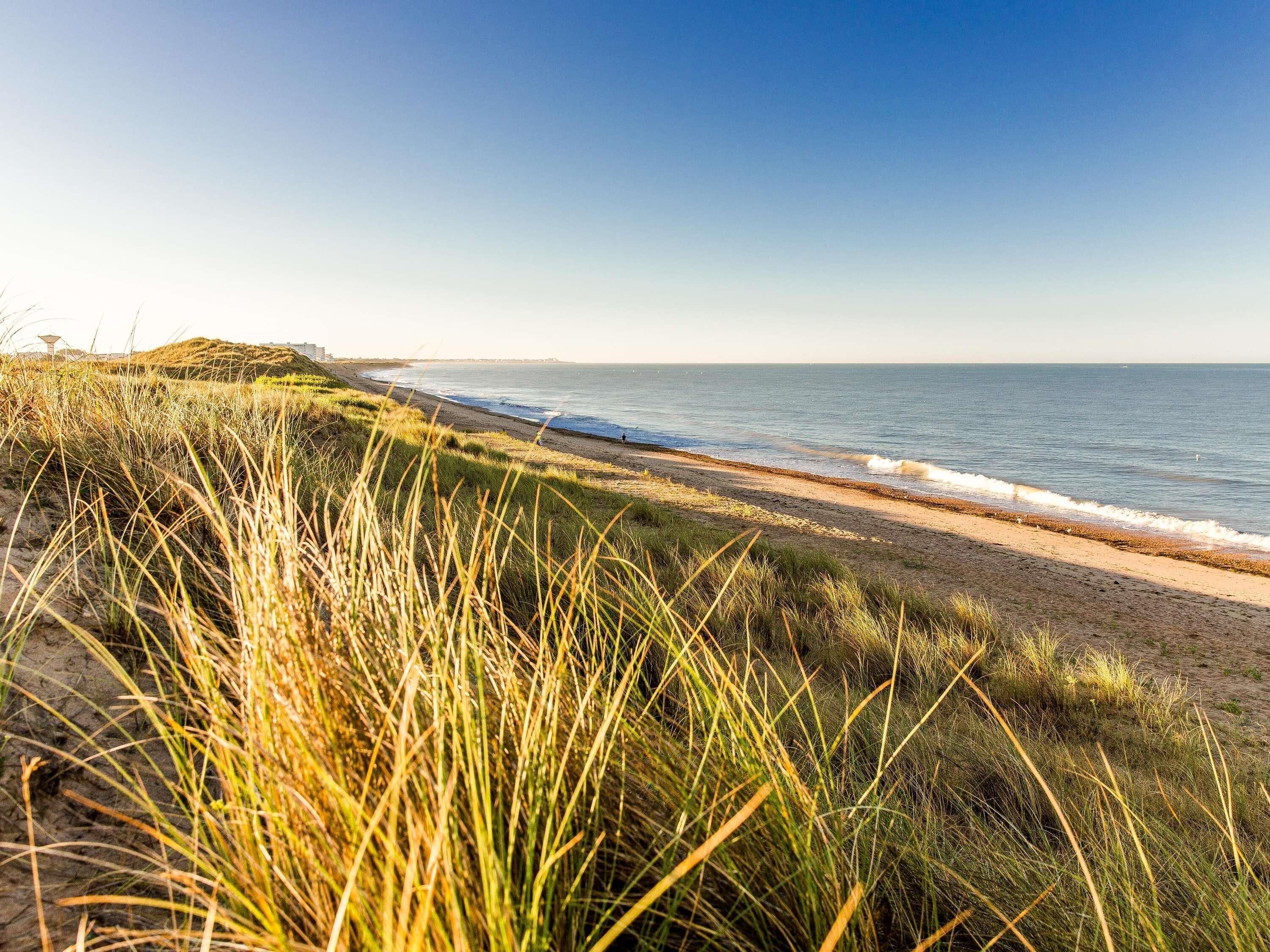 A beach with grassy dunes and a clear view of the ocean.