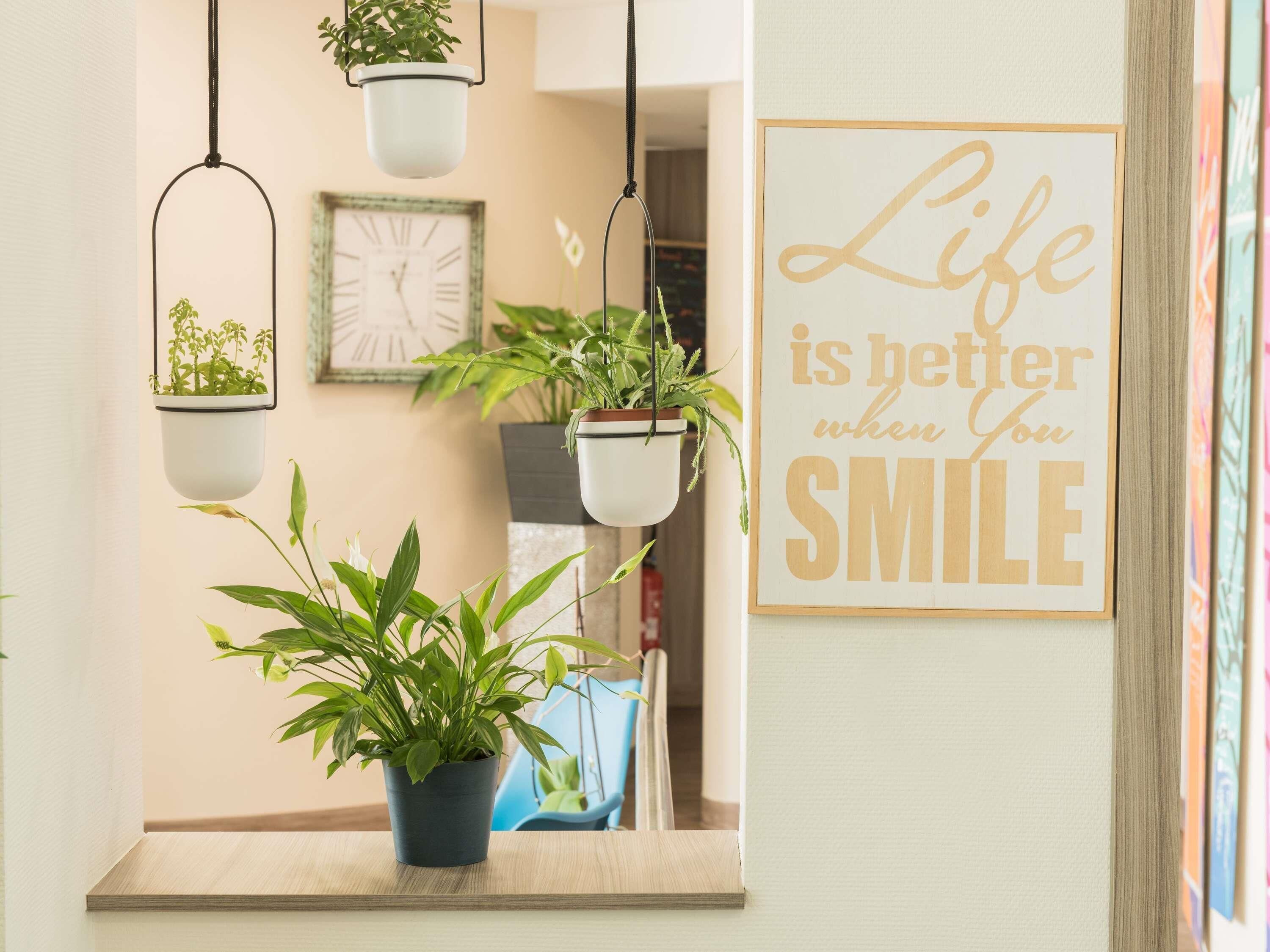 Una pared con una cita inspiradora, un reloj y varias macetas colgantes.
