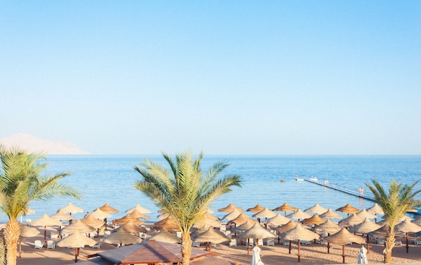 On the beach, beach bar