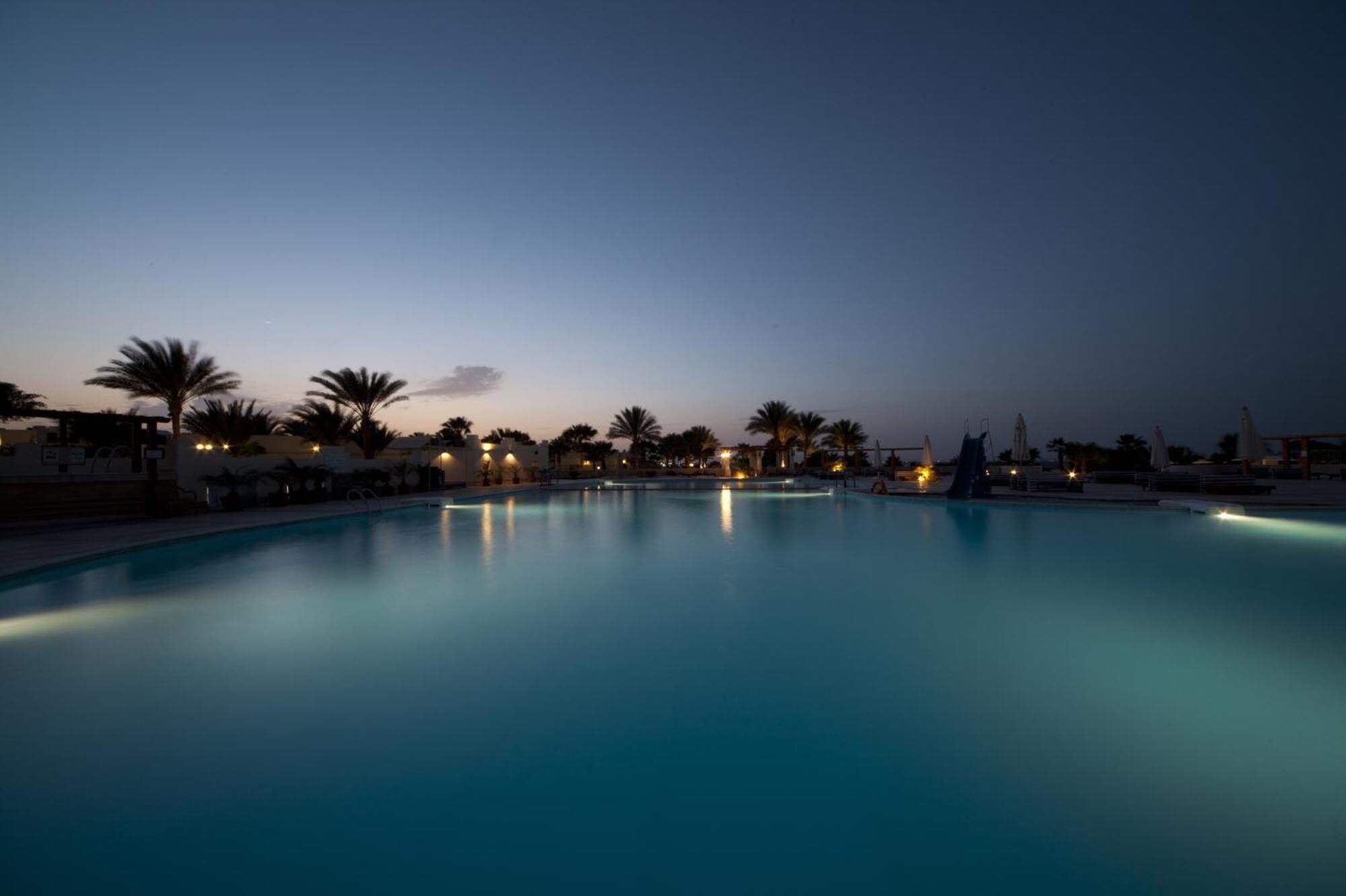 Una gran piscina tranquila al anochecer, rodeada de palmeras e iluminación ambiental.
