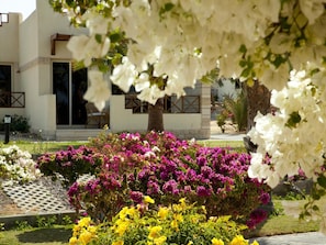 Property grounds - Hurghada Coral Beach Hotel (Hurghada)