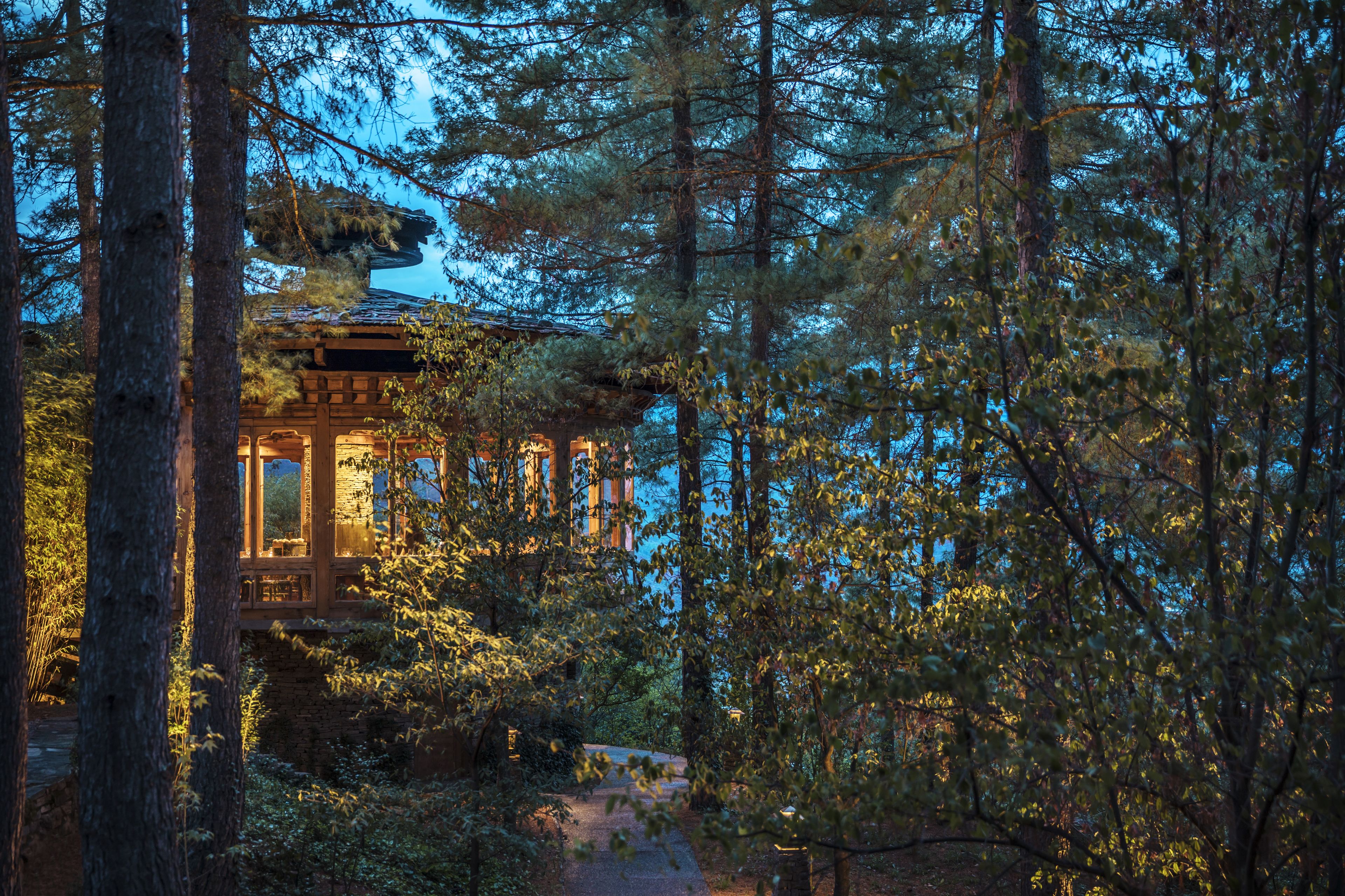 A traditional Japanese-style building surrounded by dense forest.