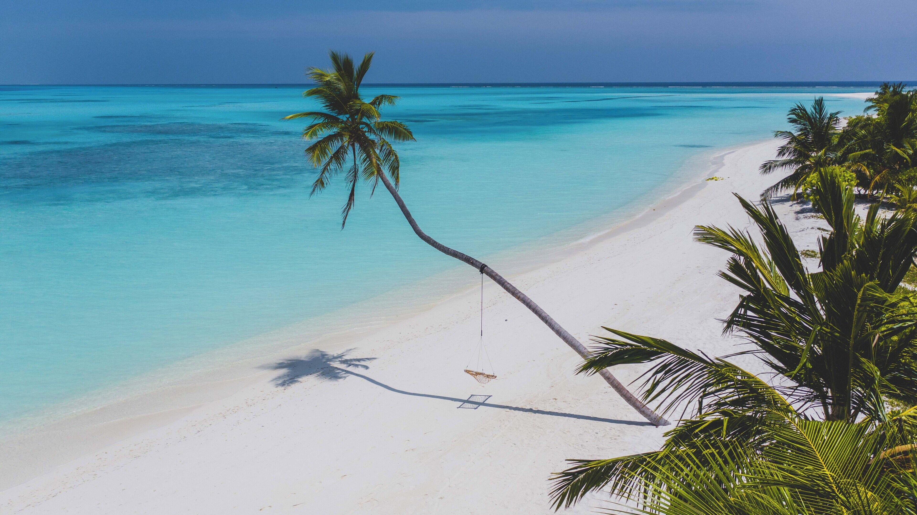 Ein Strand mit klarem türkisblauem Wasser, weißem Sand und Palmen.