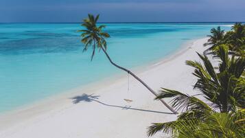 Ein Strand mit klarem türkisblauem Wasser, weißem Sand und Palmen.