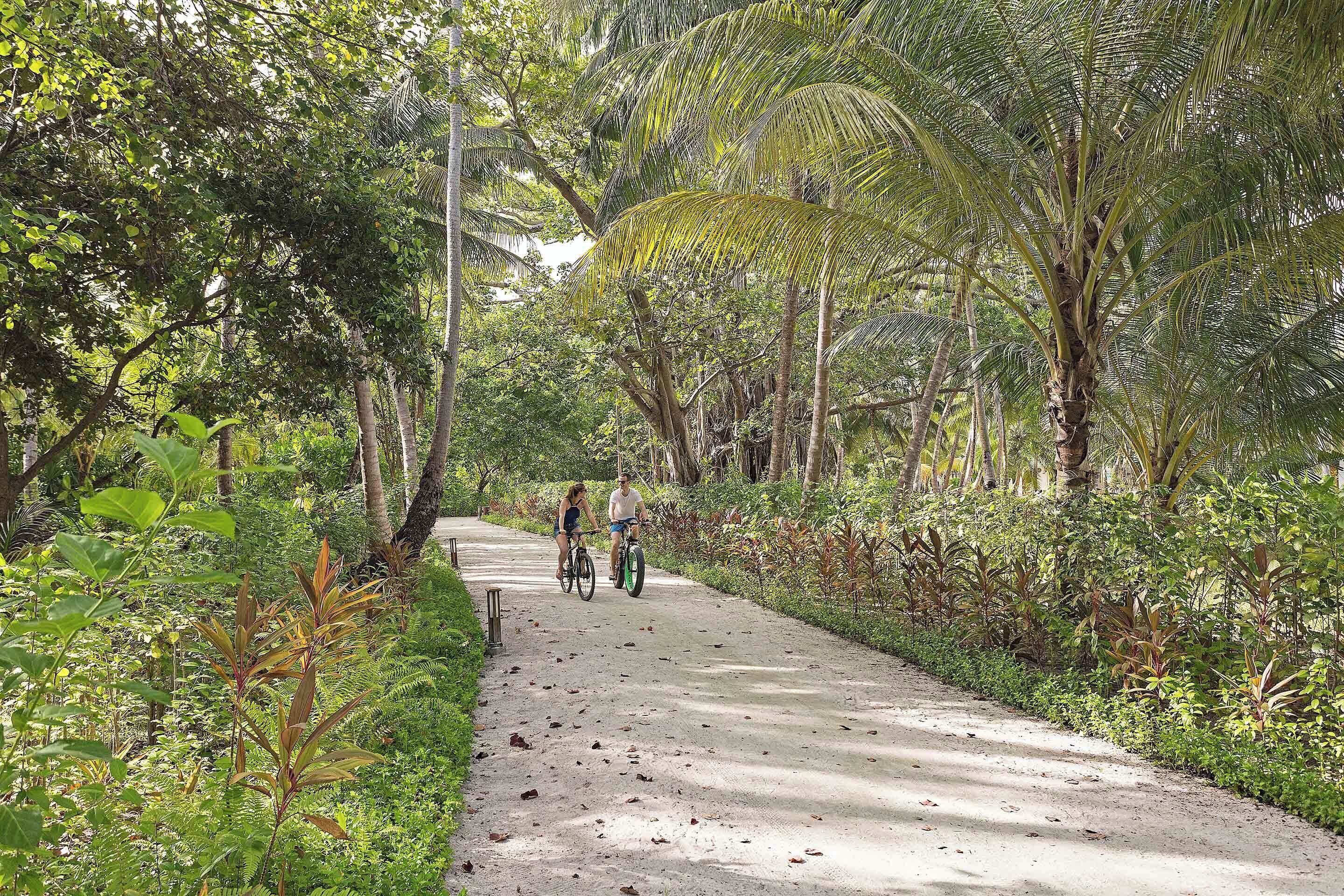 A paved pathway surrounded by dense tropical vegetation.