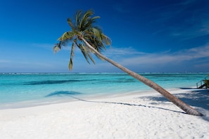 On the beach, white sand, beach towels, scuba diving