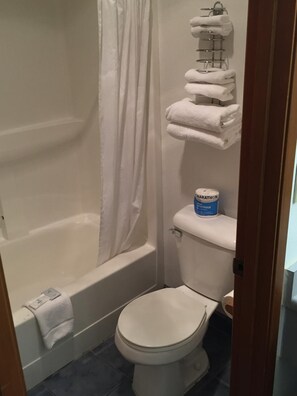Combined shower/bathtub, free toiletries, hair dryer, towels
