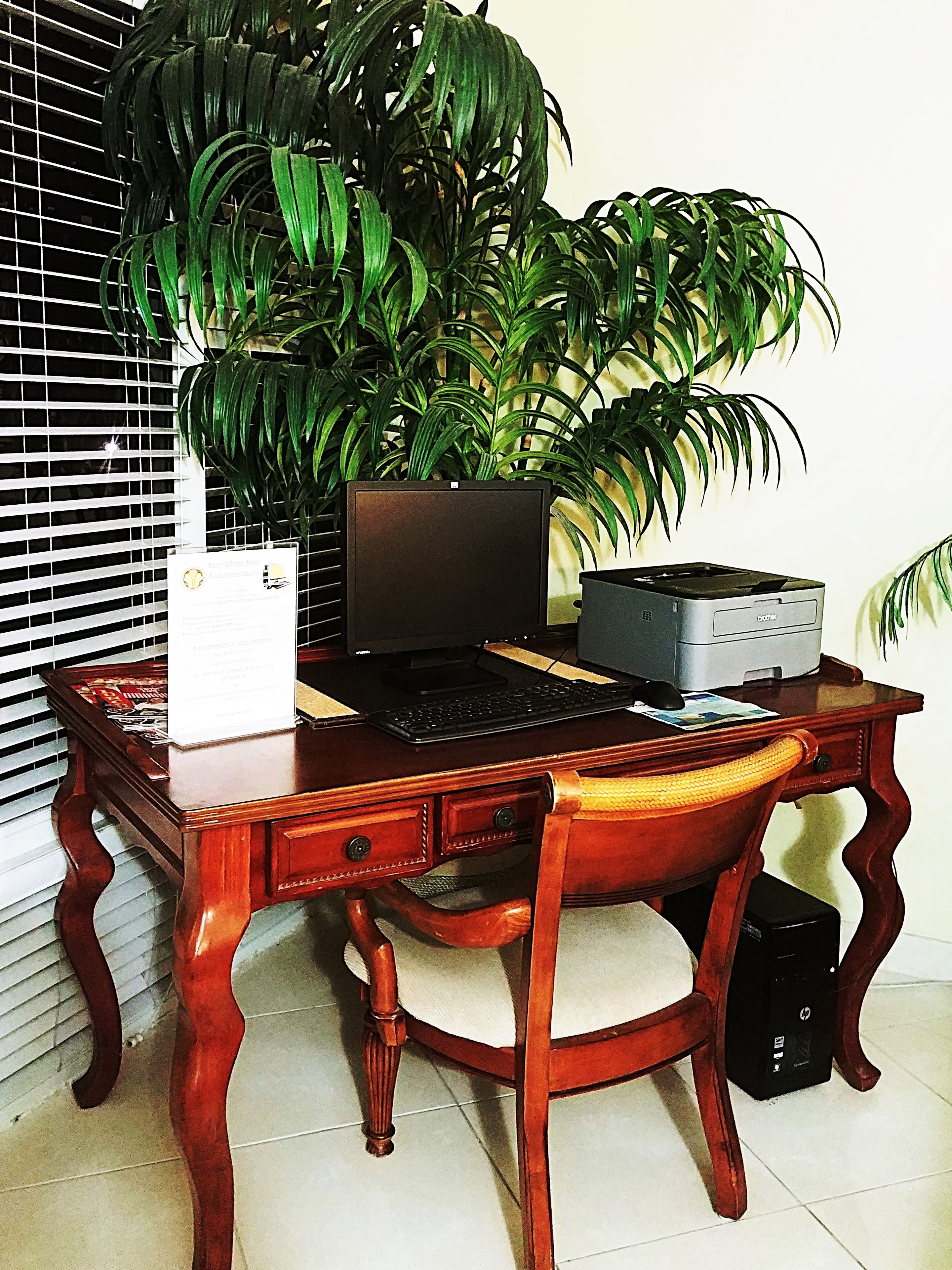 Un bureau en bois avec un ordinateur, un clavier et une imprimante, une chaise et une grande plante verte.