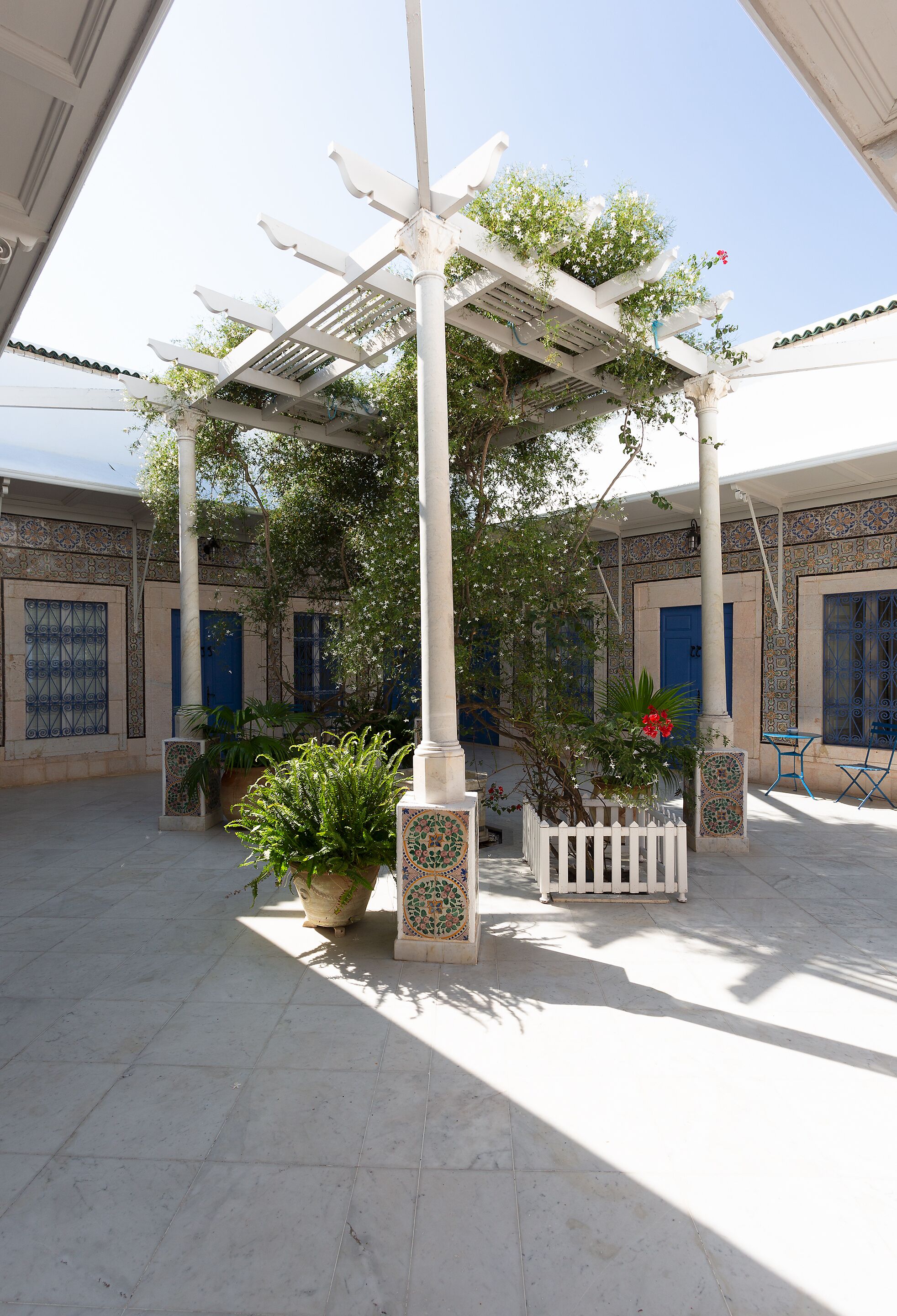 Un cortile con una pergola, piante in vaso e un recinto bianco.