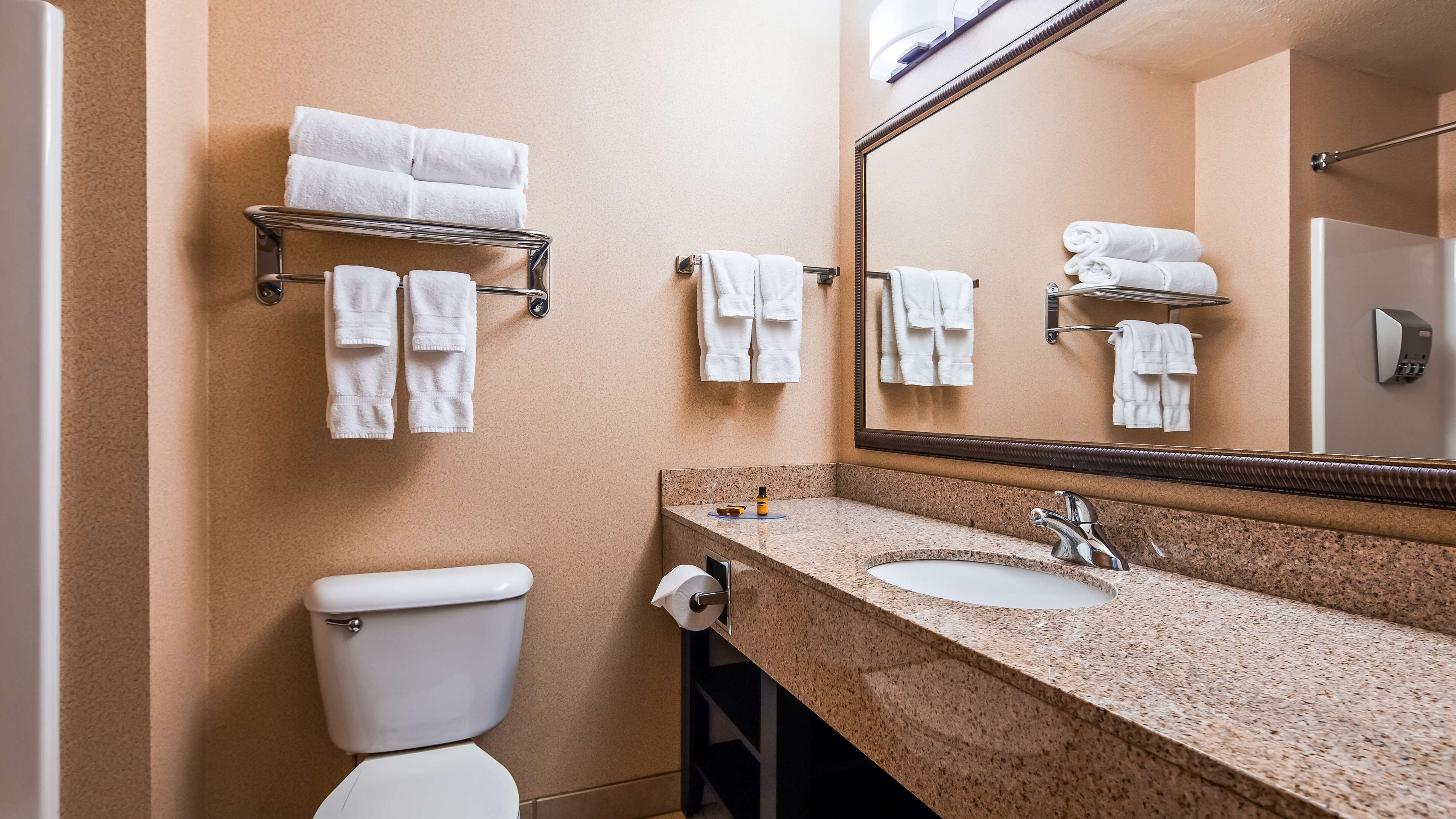 combined shower/bathtub, free toiletries, hair dryer, towels