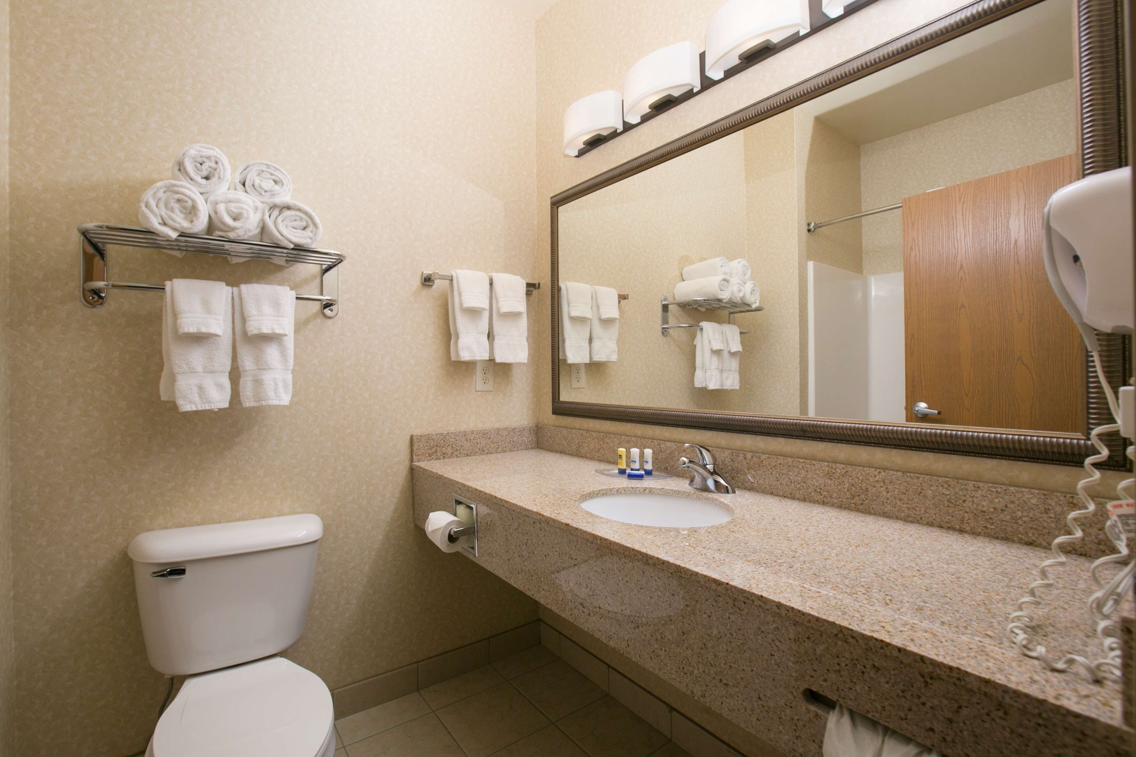 combined shower/bathtub, free toiletries, hair dryer, towels