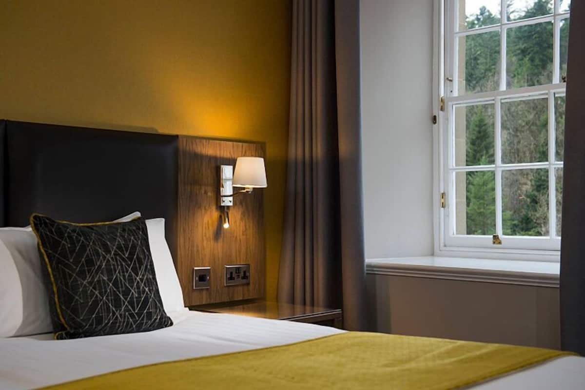 A hotel room with a bed, a nightstand, a lamp, a window with a view of trees, and a curtain.