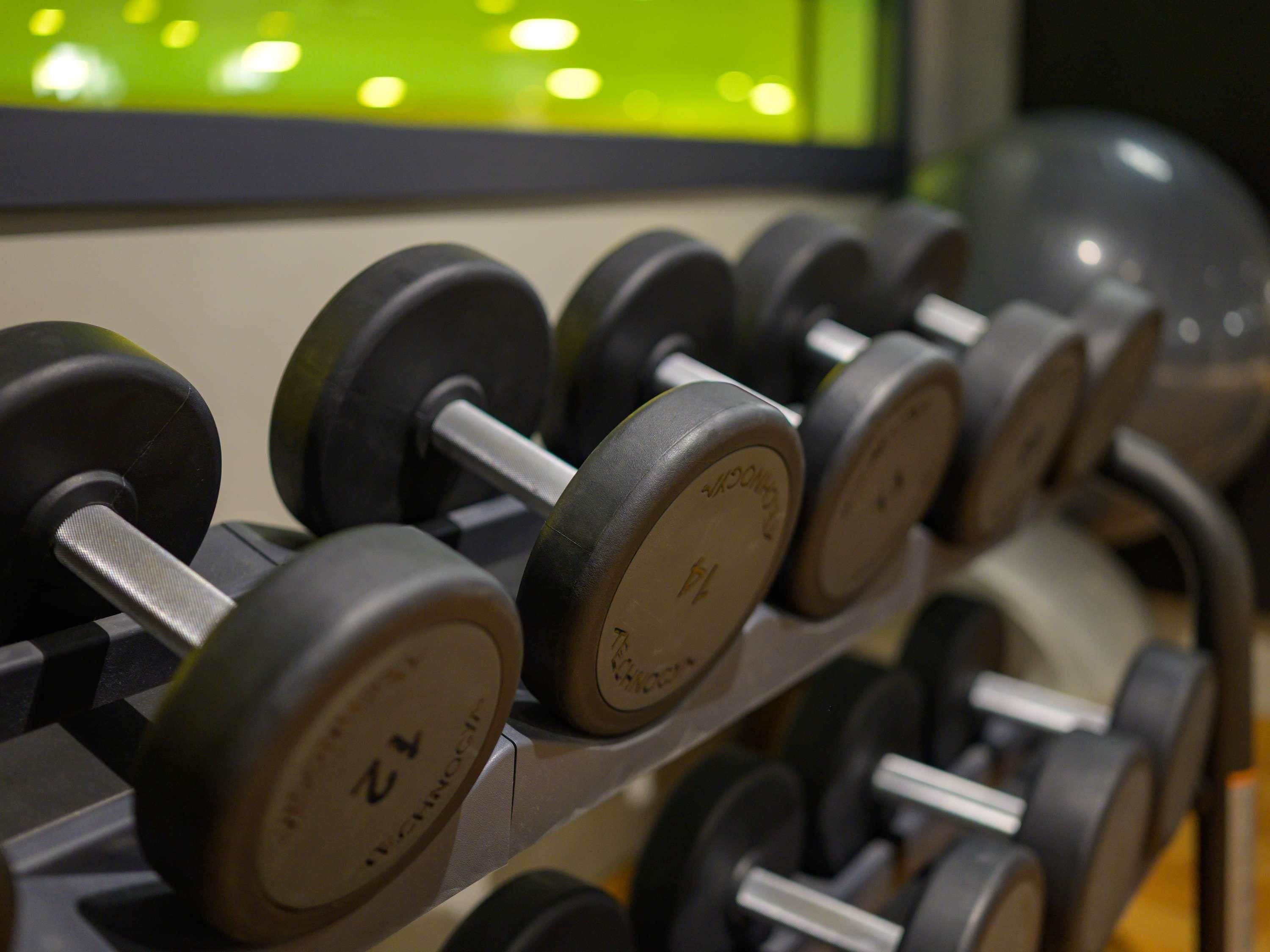 Estante con mancuernas, con indicaciones de peso, mostrando un gimnasio.