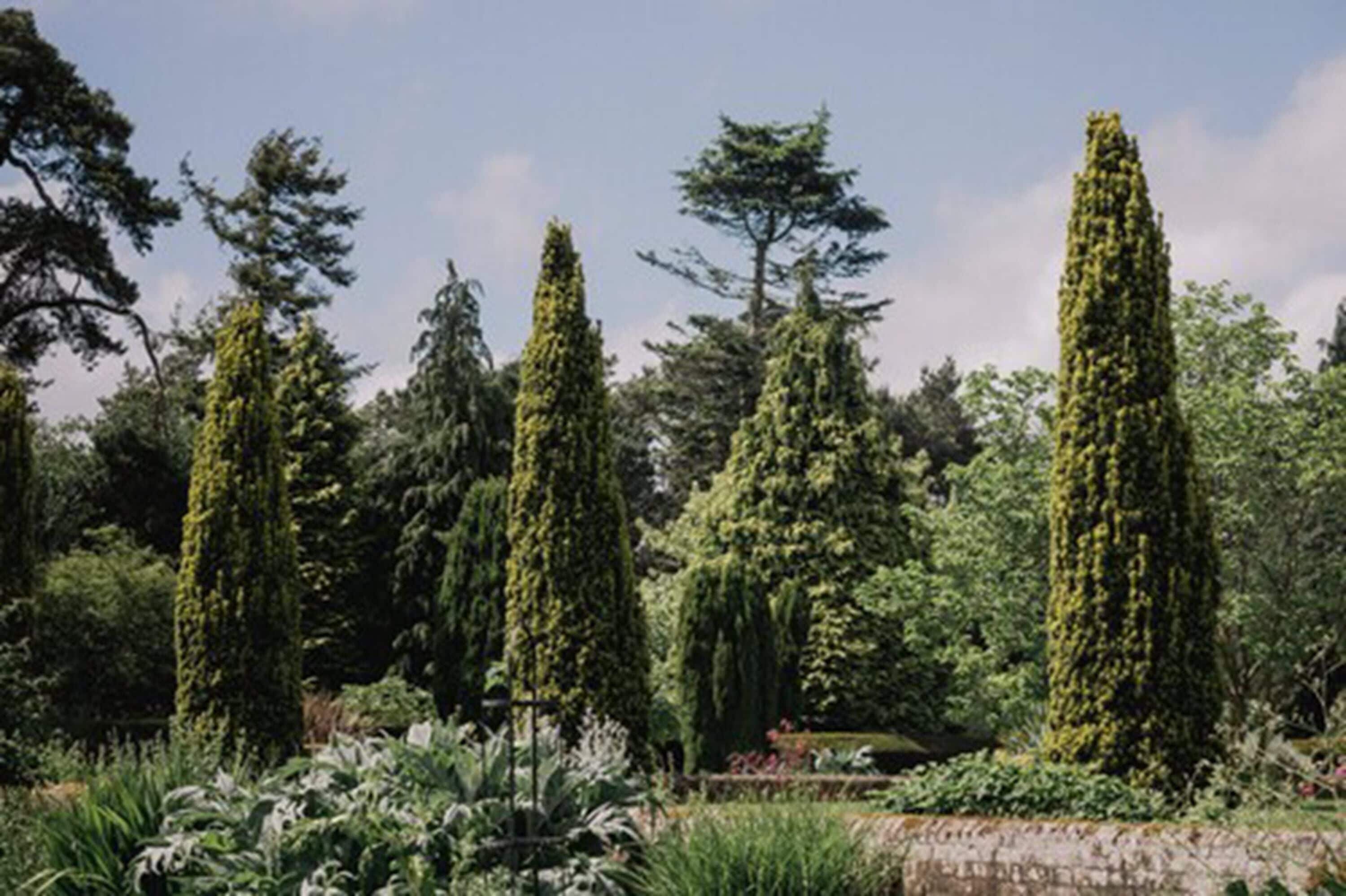 Foto - Barnett Hill Hotel