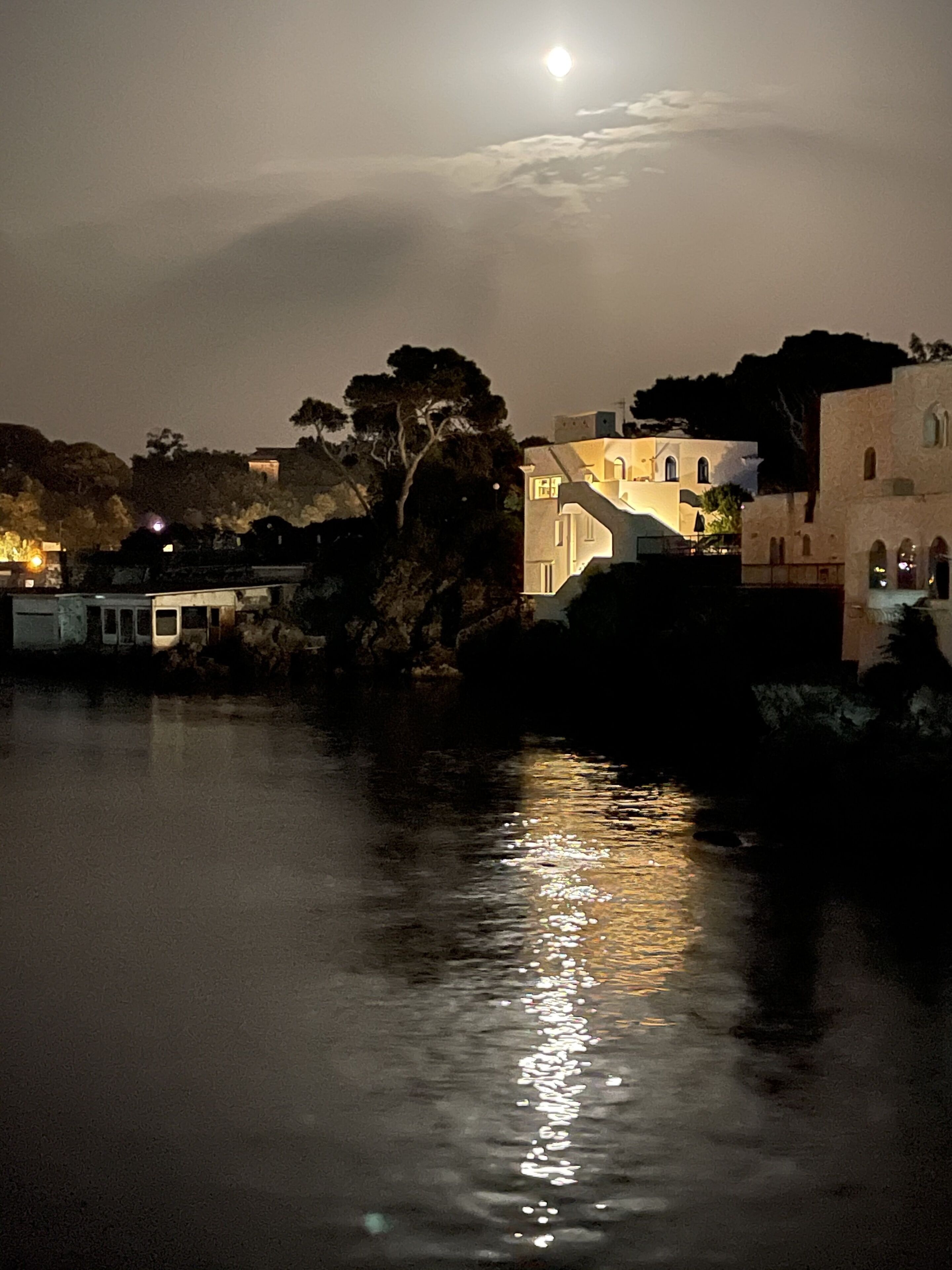 A waterfront scene with a building reflecting on the water, a moon in the sky, and trees in the background.