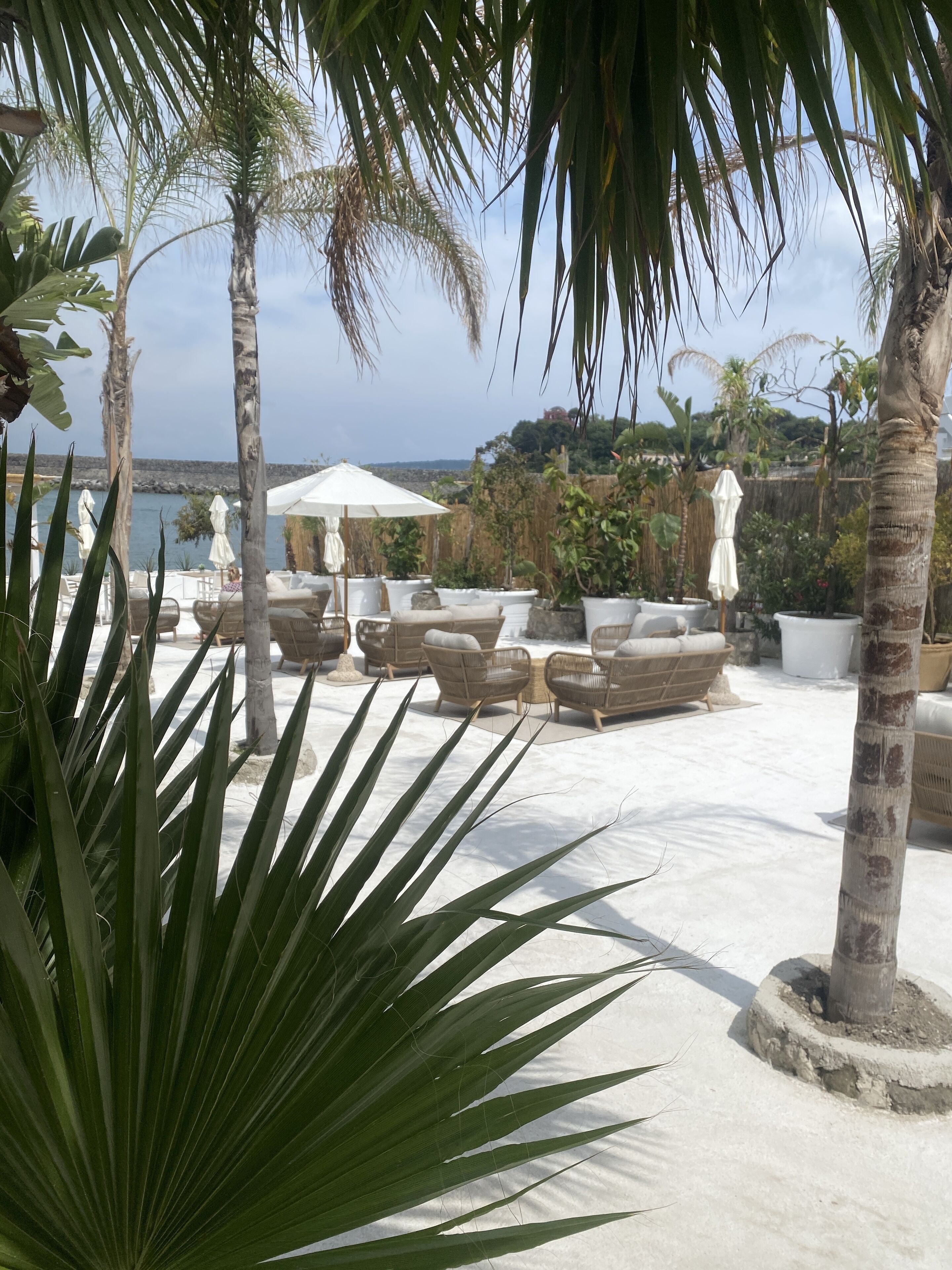 A patio area with outdoor furniture, umbrellas, and palm trees.