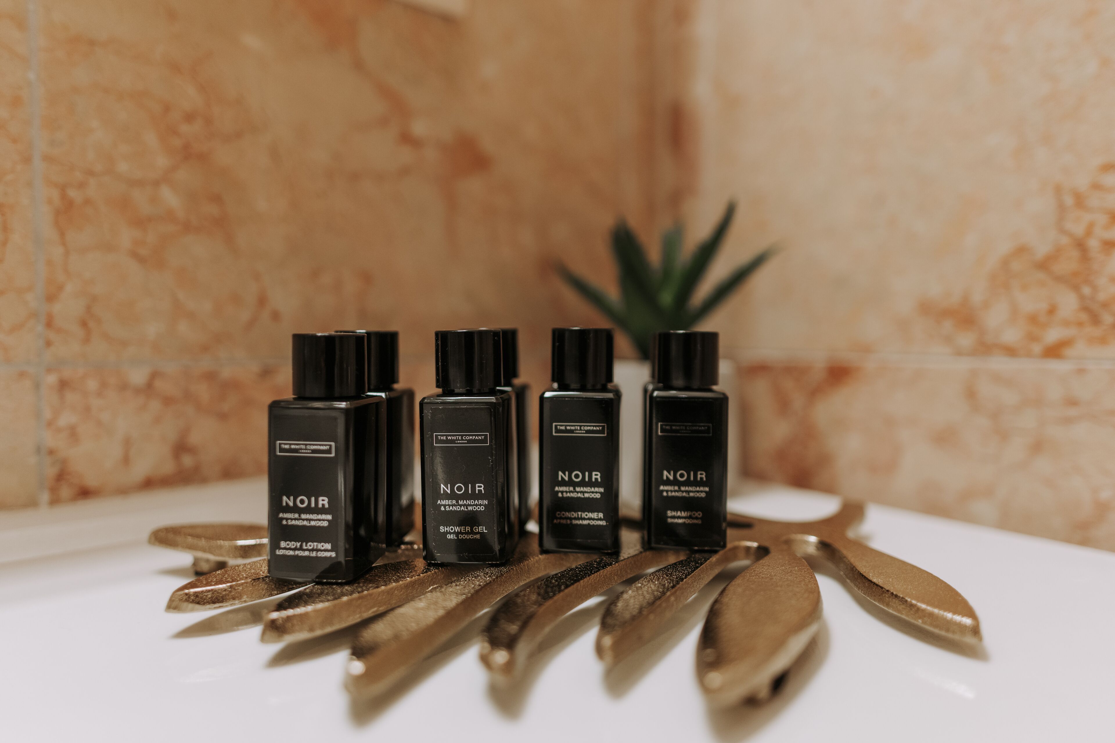 free toiletries, hair dryer, bathrobes, slippers