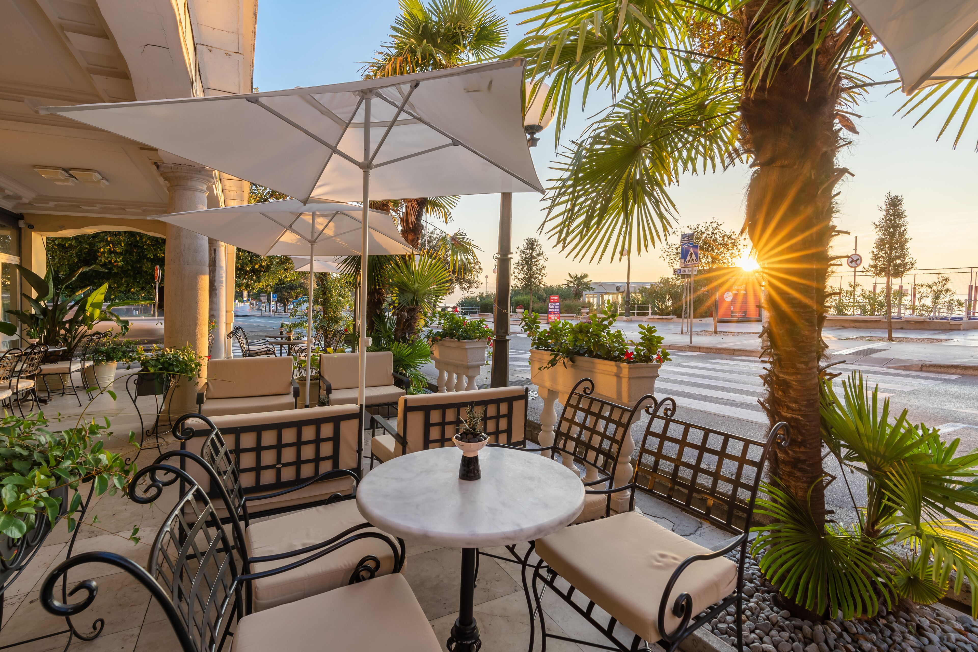 An outdoor seating area with tables and chairs, surrounded by potted plants and palm trees.