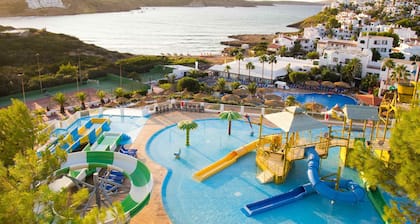 Fergus Club Carema Splash