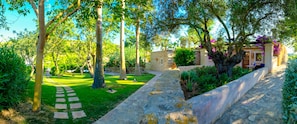 Junior Room, Terrace, Garden View (Family) | View from room