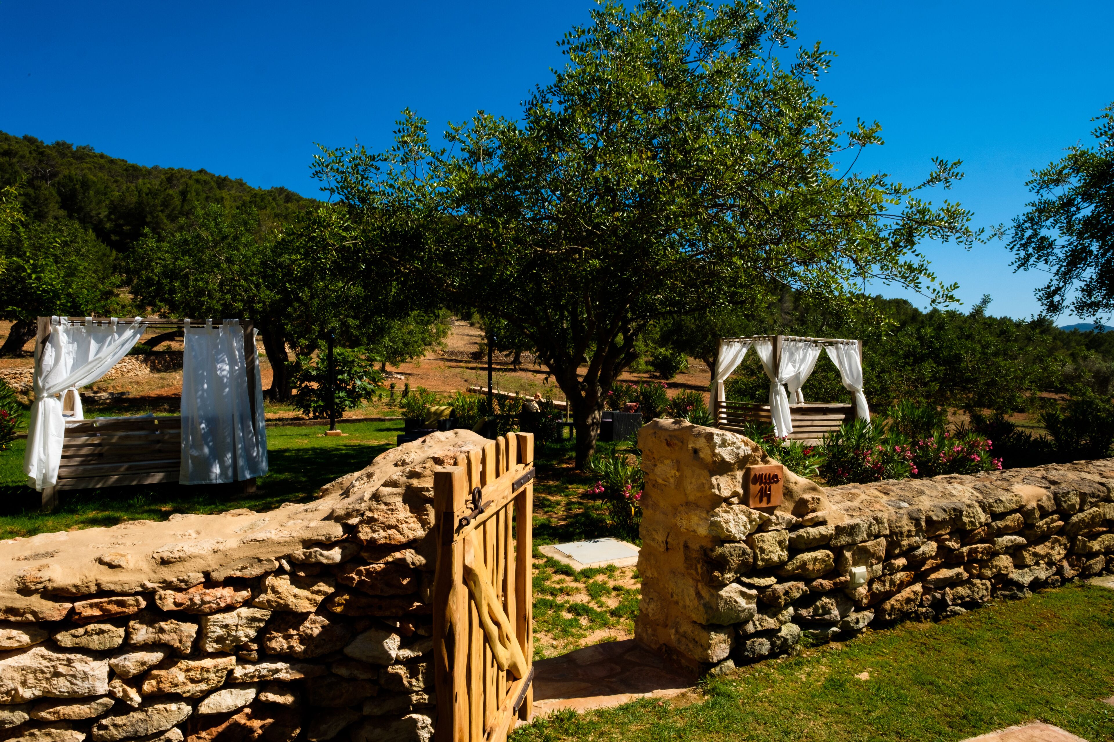 deluxe villa | view from room