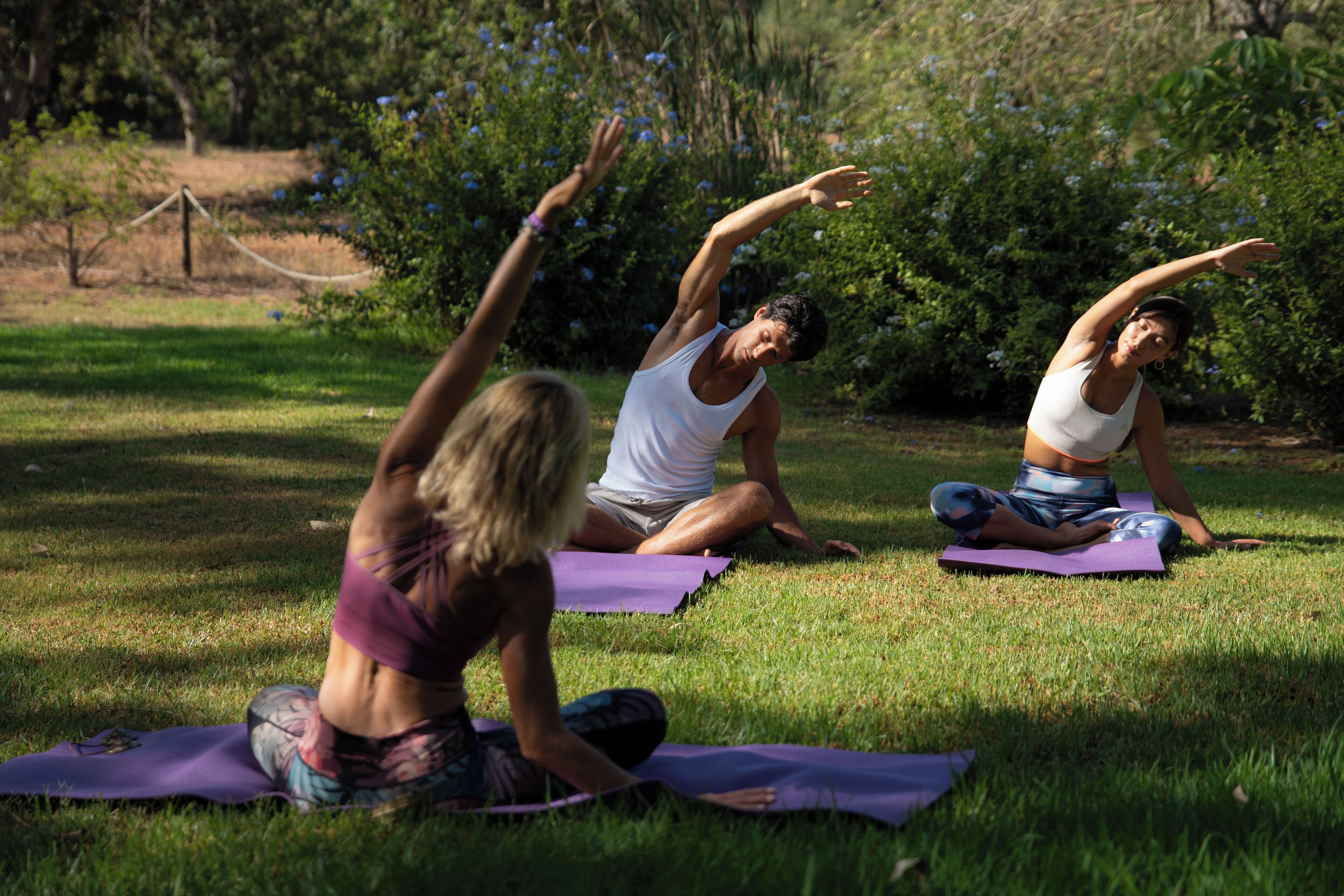 Three people practicing yoga on grass with purple mats.