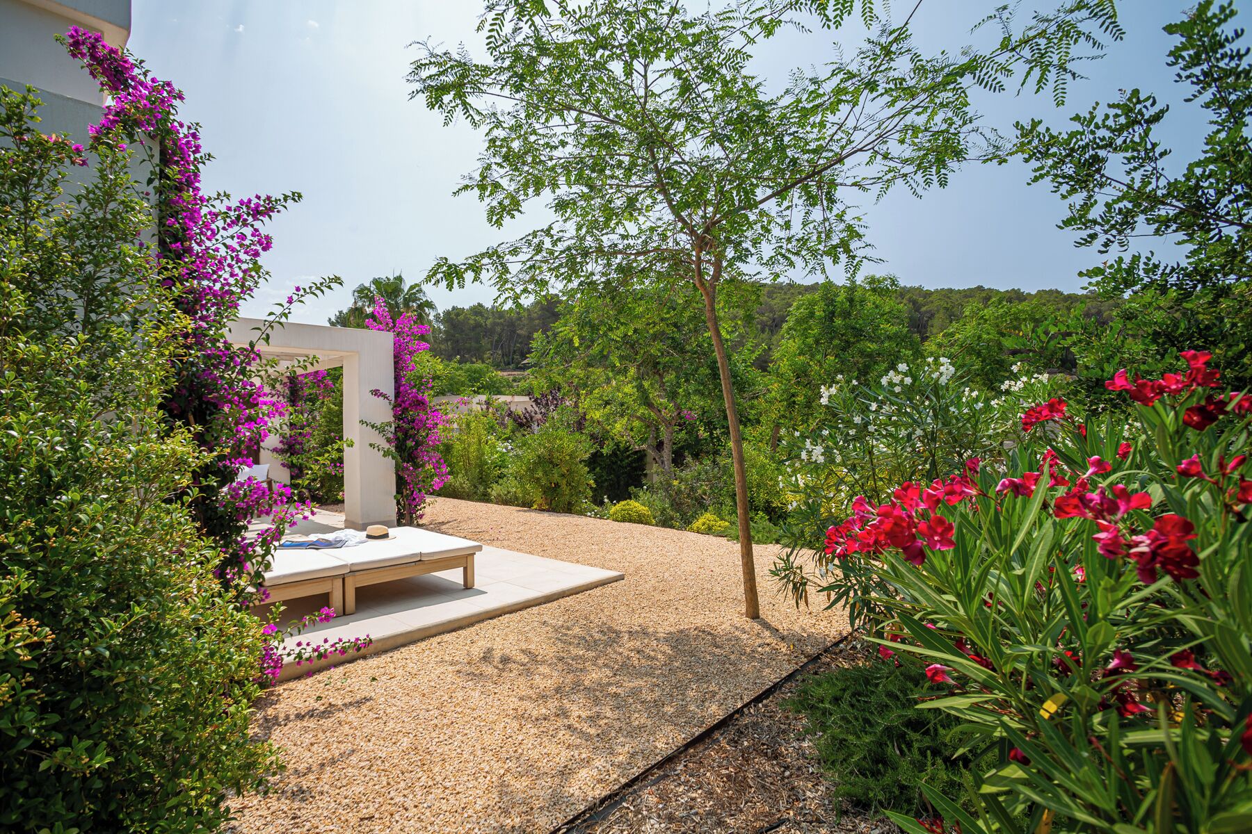 Premium Suite, Terrace, Garden View