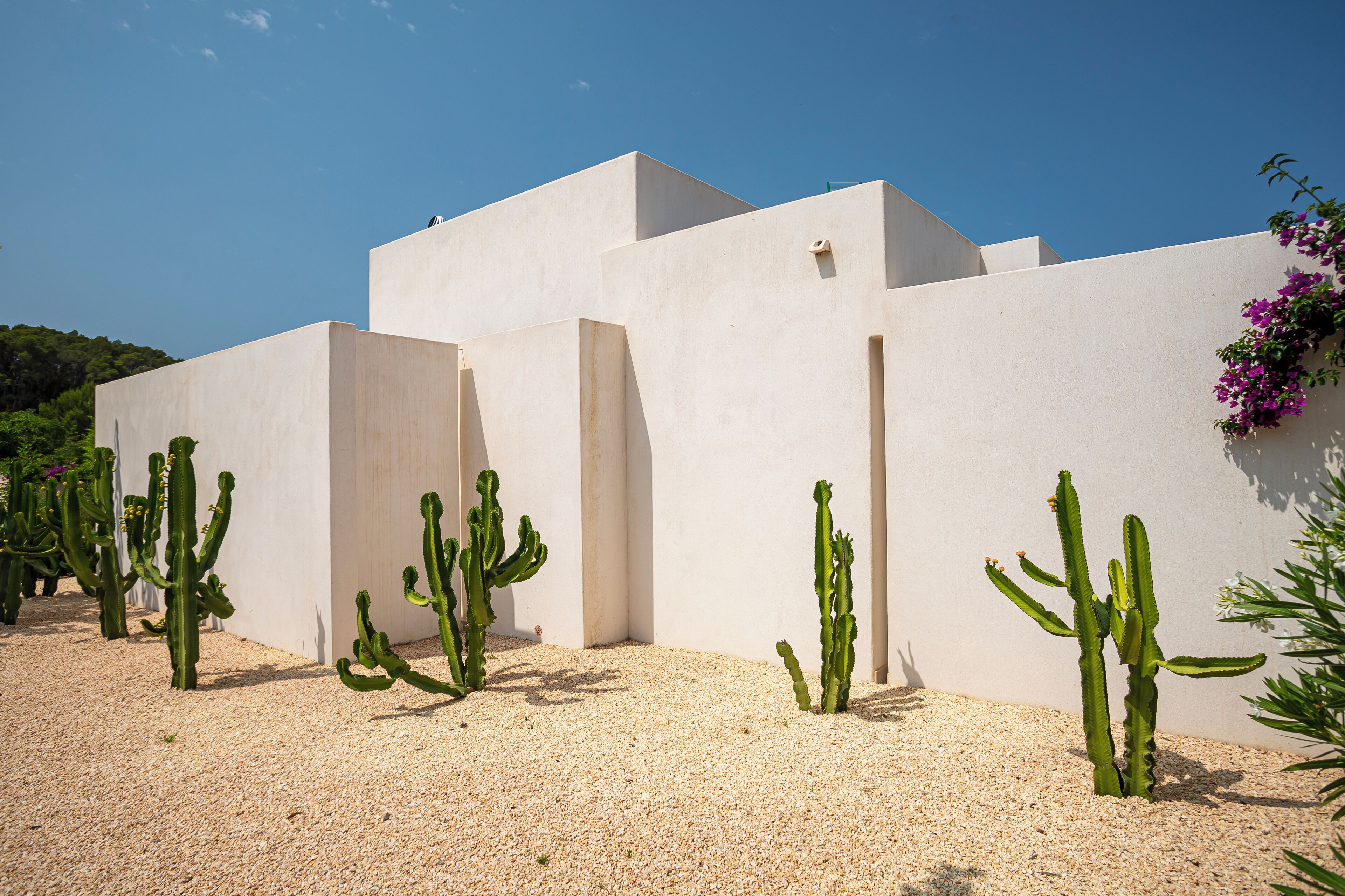 premium suite | egyptian cotton sheets, premium bedding, minibar, in-room safe