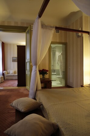 Superior Apartment | View from room