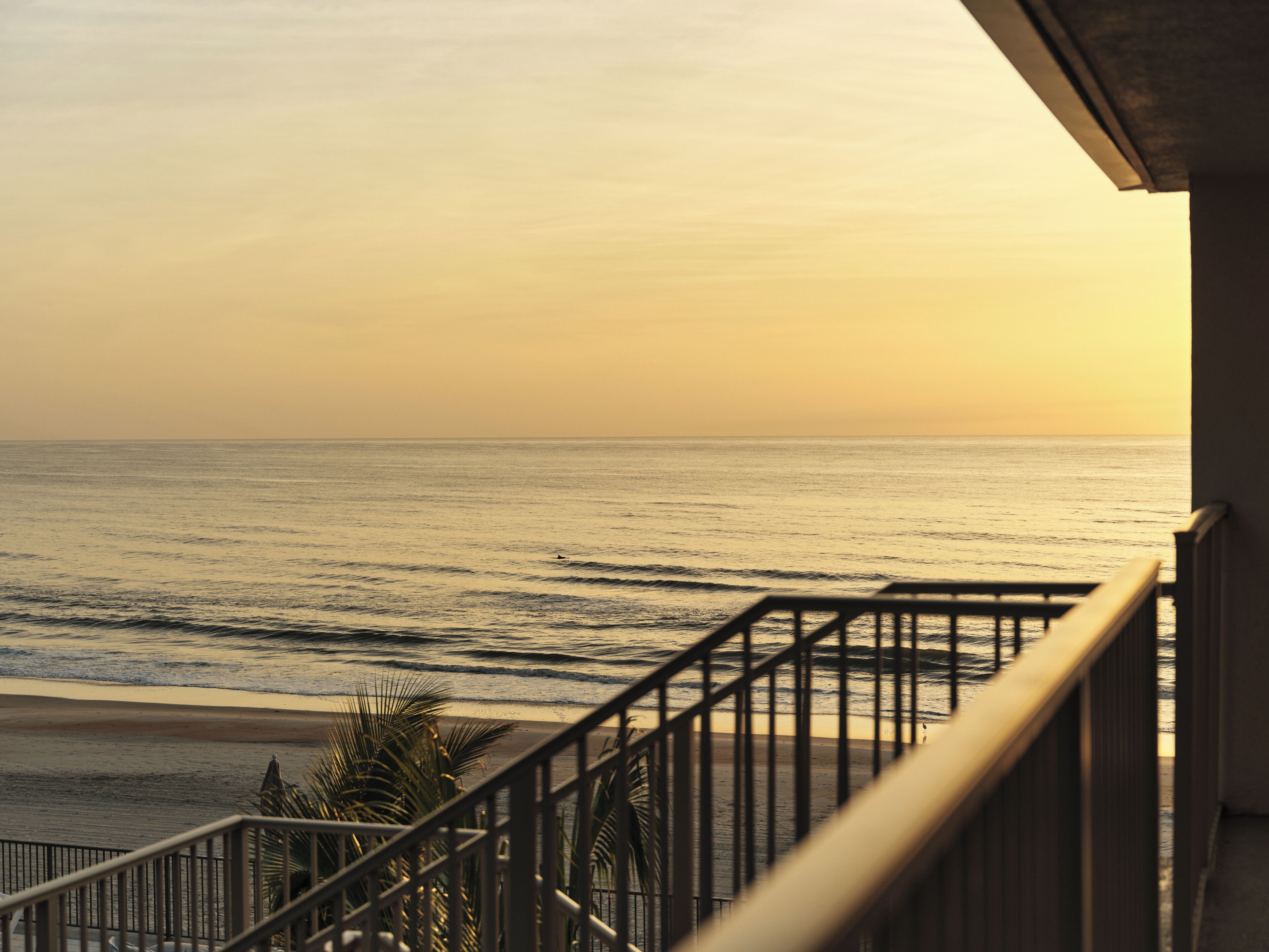 バルコニーからの眺望