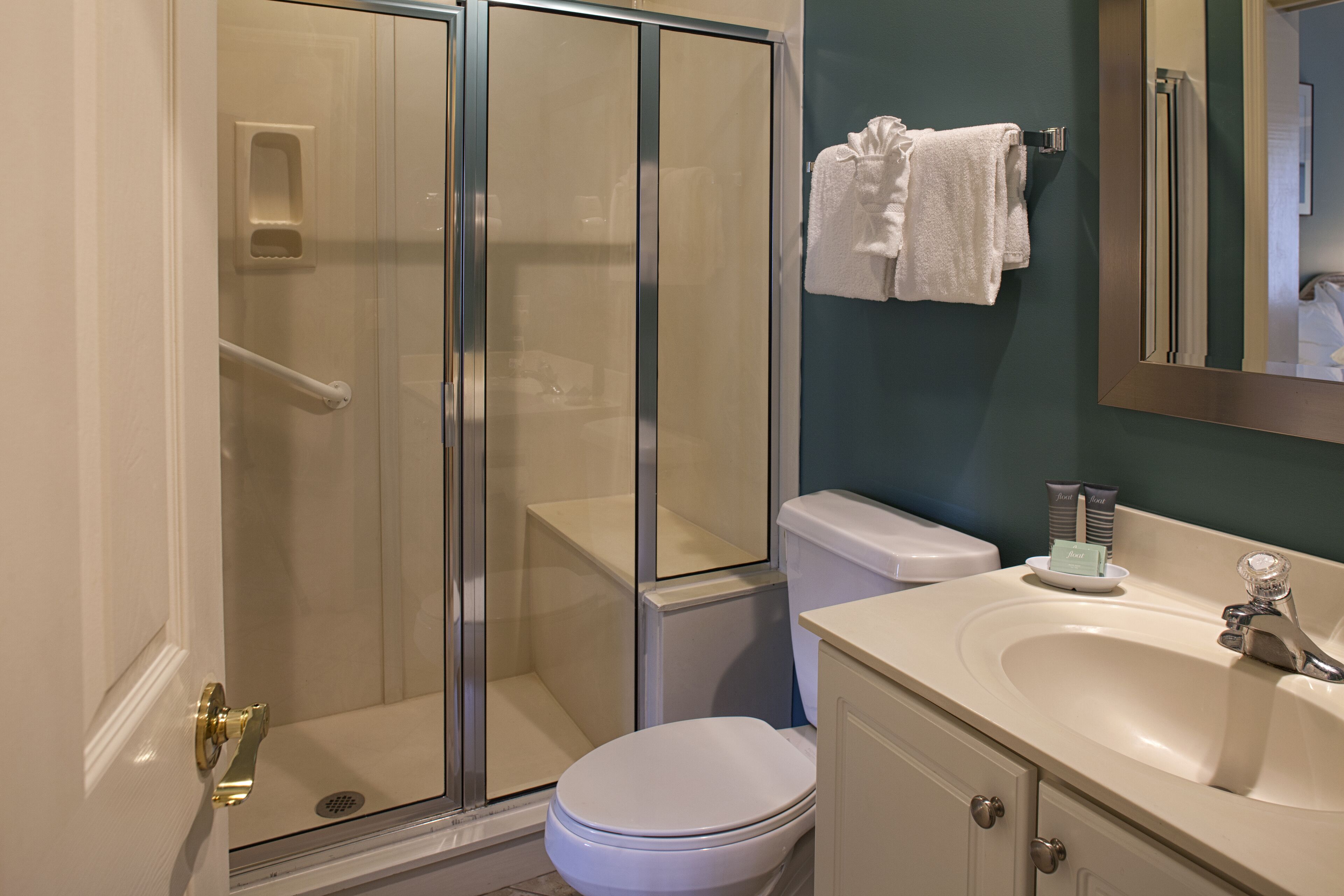 Une salle de bain avec une douche à parois de verre, des toilettes blanches et un lavabo avec un miroir au-dessus.