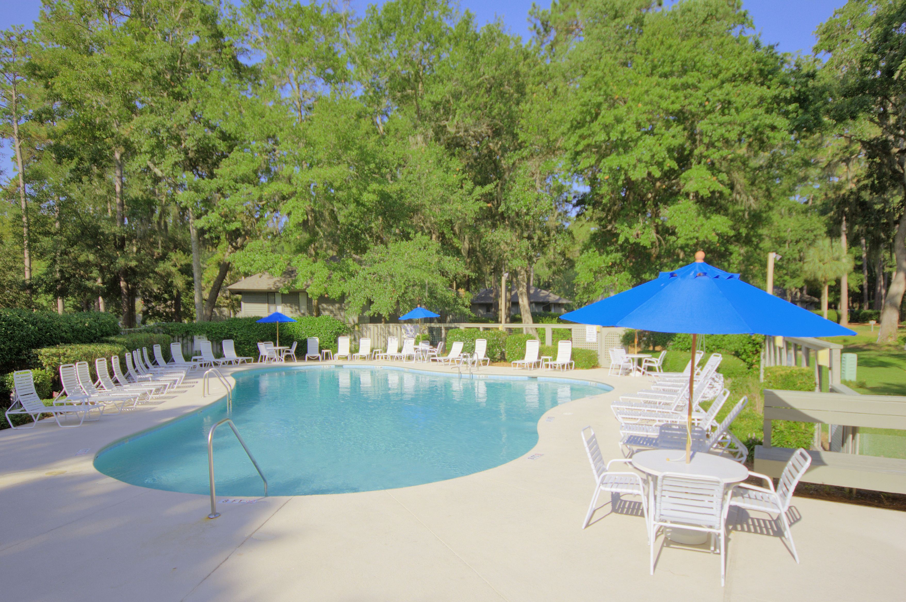 A pool area with lounge chairs and umbrellas, surrounded by trees.
